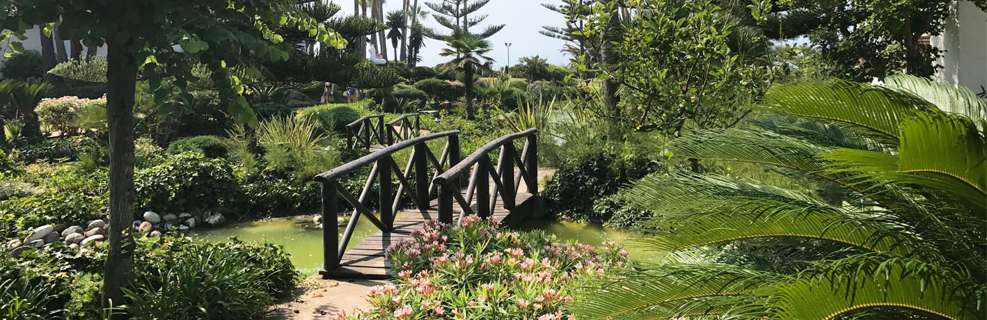 Japanese Garden